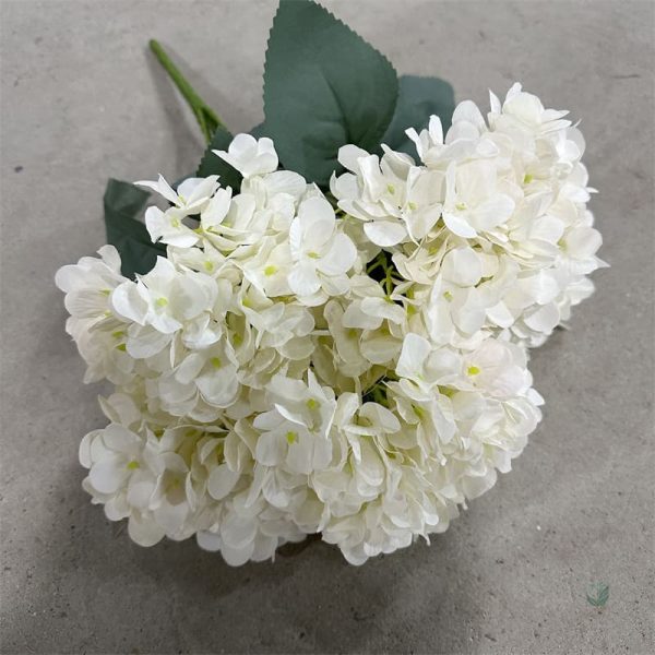 Bouquet d'hortensias blancs, touche de fraîcheur pour votre intérieur