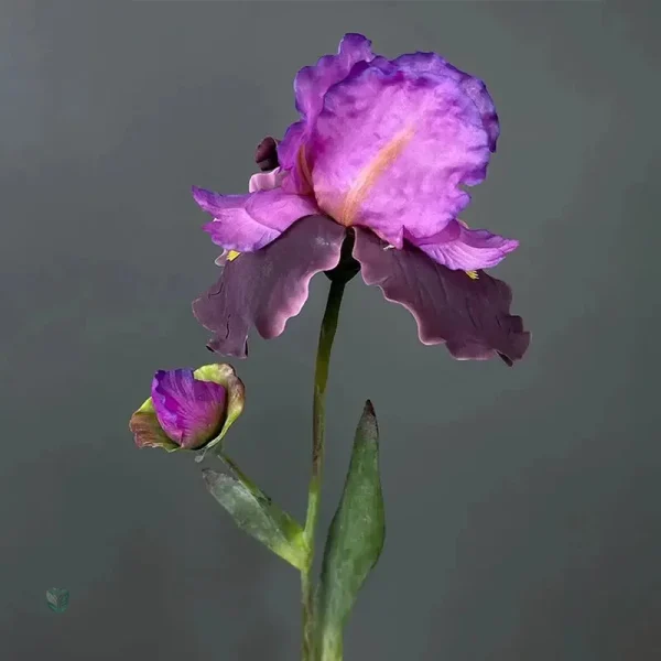 Plante iris barbu synthétique, style moderne et élégant