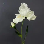Iris artificiel en pot, choix esthétique pour le Cyber Monday