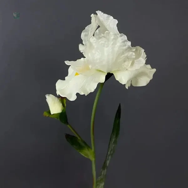 Iris artificiel en pot, choix esthétique pour le Cyber Monday