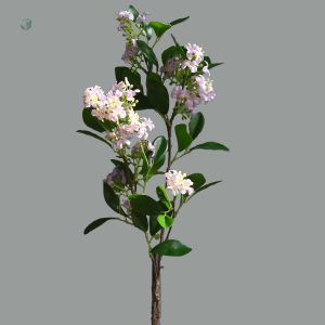 Jasmin artificiel pour une ambiance apaisante