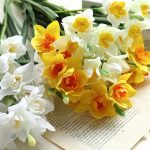 Fleur artificielle jonquille pour arrangements floraux