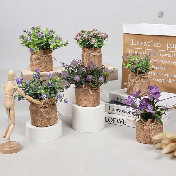 Lavande faux en pot pour embellir l’espace