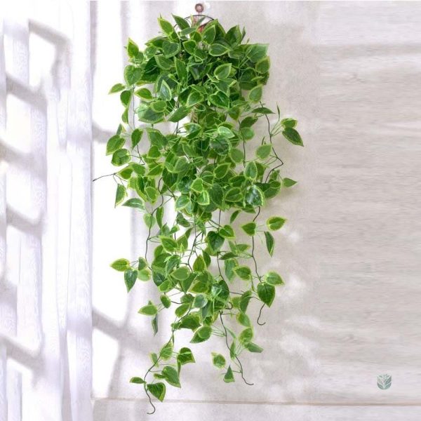 Plantes en lierre artificiel pour une touche naturelle