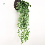 Lierre décoratif pour orner vos murs et espaces vides