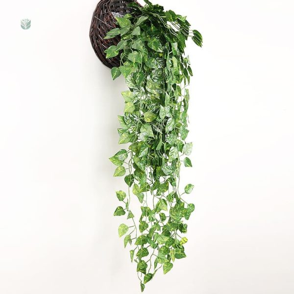 Lierre décoratif pour orner vos murs et espaces vides