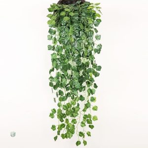 Plantes de lierre décoratif en version réaliste