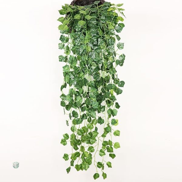 Plantes de lierre décoratif en version réaliste
