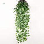 Plantes grimpantes en lierre décoratif à intégrer