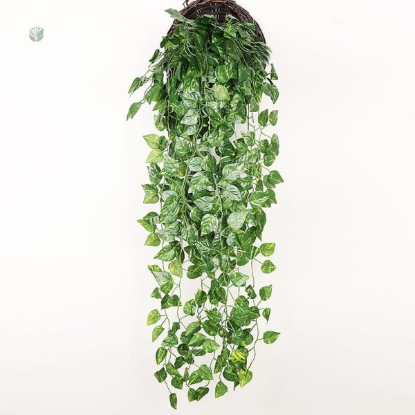 Plantes grimpantes en lierre décoratif à intégrer