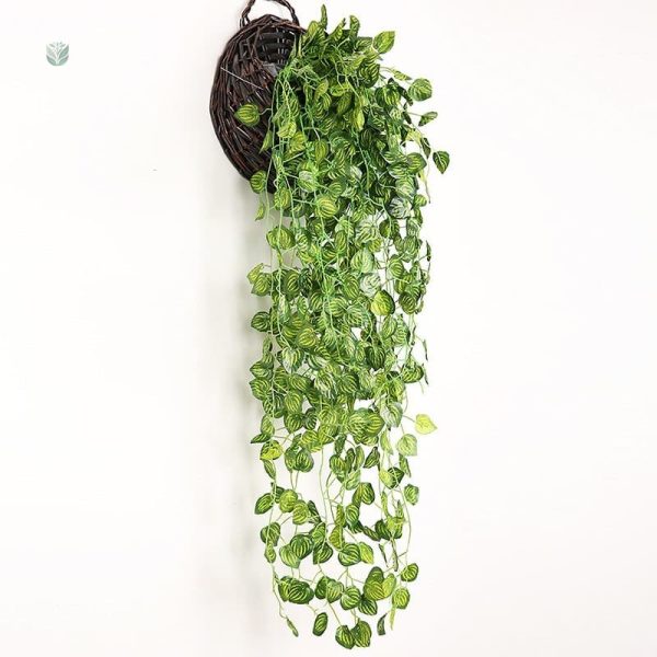 Lierre décoratif vert pour un effet frais et vivant