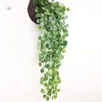 Vigne décorative en lierre pour les espaces modernes