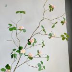 Lignum Vitae - éléments naturels en version synthétique