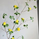 Branches Lignum Vitae, parfaites pour compositions florales