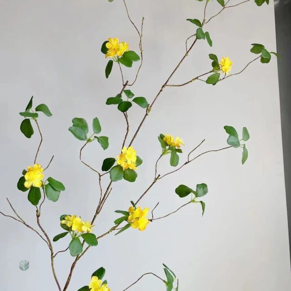 Branches Lignum Vitae, parfaites pour compositions florales