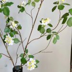 Lignum Vitae - accessoire décoratif en branches synthétiques