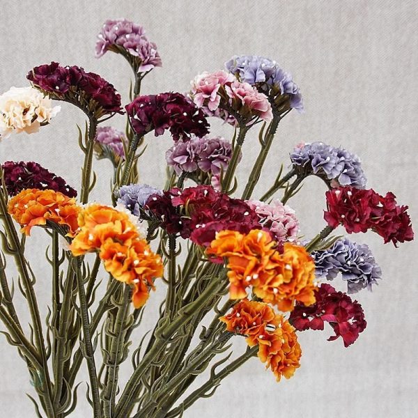 Limonium Sinuatum - plante décorative