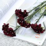Plante Limonium Sinuatum pour décoration intérieure