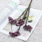 Limonium Sinuatum - touches de couleur pour votre espace