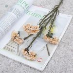 Fleurs de Limonium Sinuatum - durabilité assurée