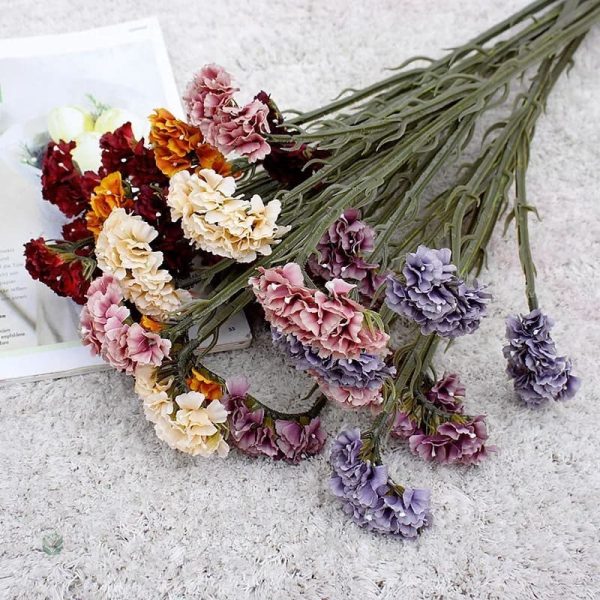 Limonium Sinuatum - choix parfait pour Cyber Monday