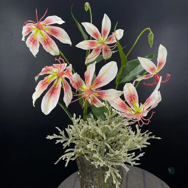 Lis de Malabar, une plante incontournable pour les collectionneurs