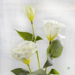 Lisianthus artificiels en différentes teintes, élégance abordable