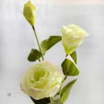 Fleurs artificielles lisianthus, parfaites pour un mariage