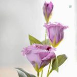 Composition florale lisianthus, style chic à prix réduit