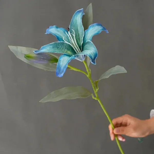 Lys décoratif bicolore, ajout coloré pour la maison