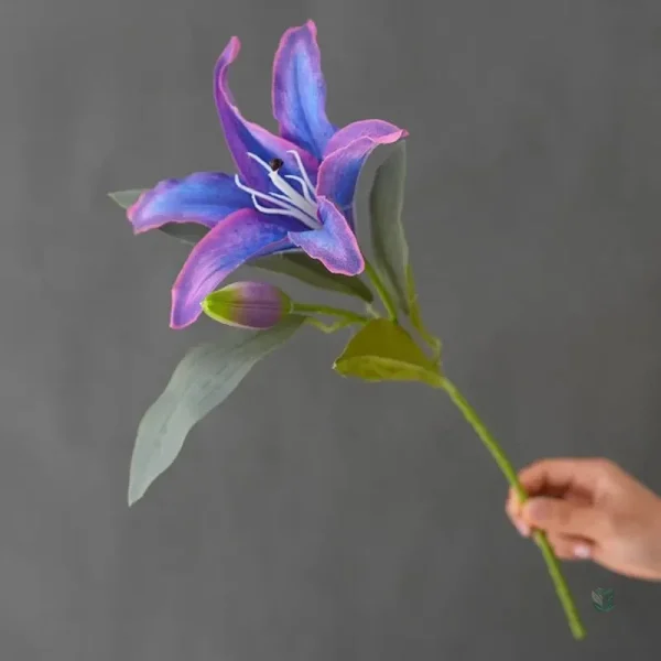 Composition florale bicolore, style et raffinement