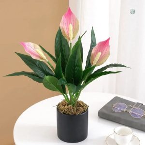Lys de la Paix - bouquet élégant pour Cyber Monday