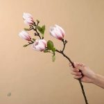 Magnolia en branche, accessoire de décoration moderne
