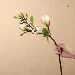 Branche de magnolia réaliste pour compositions florales
