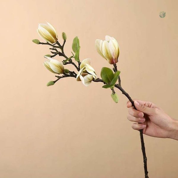 Branche de magnolia réaliste pour compositions florales