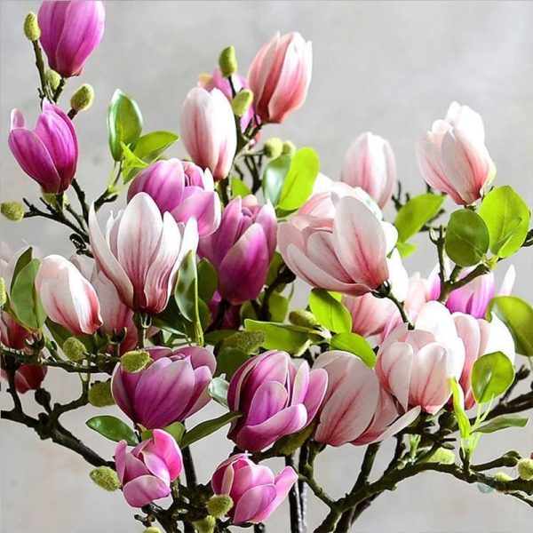 Branche de magnolia en version décorative pour maison