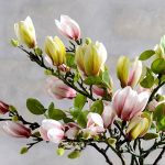 Magnolia artificiel, choix parfait pour décoration durable