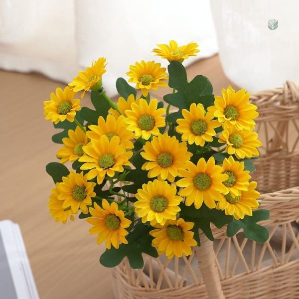 Composition florale avec marguerites blanches