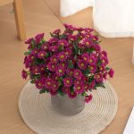 Fleurs de marguerites en faux pour embellir l'espace