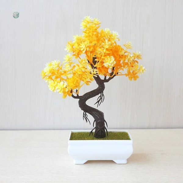 Plante de décoration intérieure en forme de bonsaï