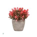 Petites fleurs pour un style moderne