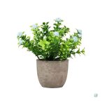 Miniature de fleurs pour décoration créative