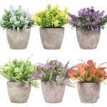 Fleurs miniatures pour embellissement de pièces