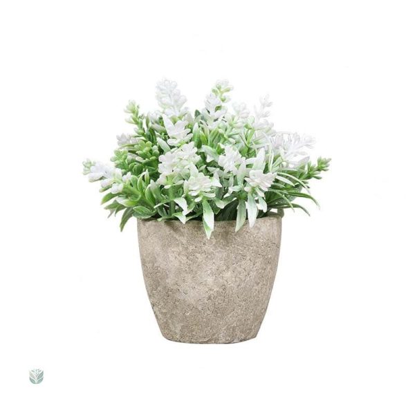 Fleurs miniatures pour un décor élégant