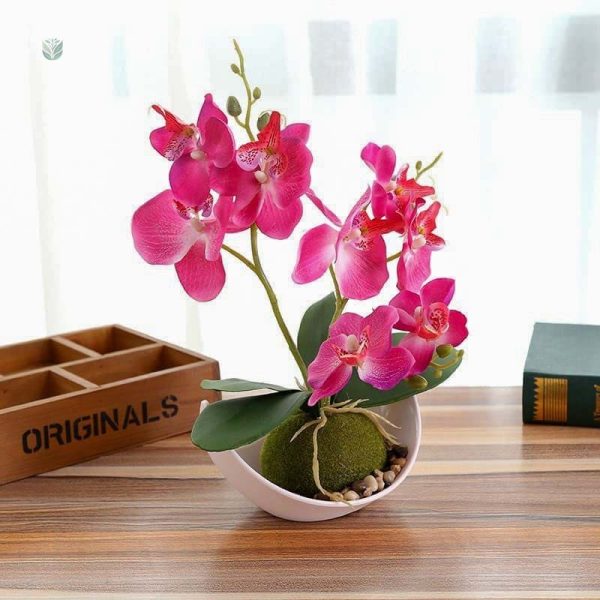 Orchidée artificielle, touche élégante pour la maison