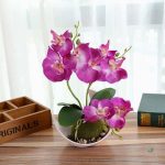 Orchidée mini, idéal pour embellir un bureau