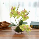 Orchidée en pot, alternative durable aux fleurs naturelles