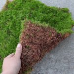 Décoration en mousse pour espaces extérieurs
