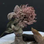 Bouquet Nutan Fleur, ajout de couleur à votre espace