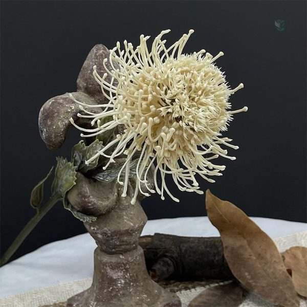 Fleurs Nutan - Idéal pour événements et occasions spéciales